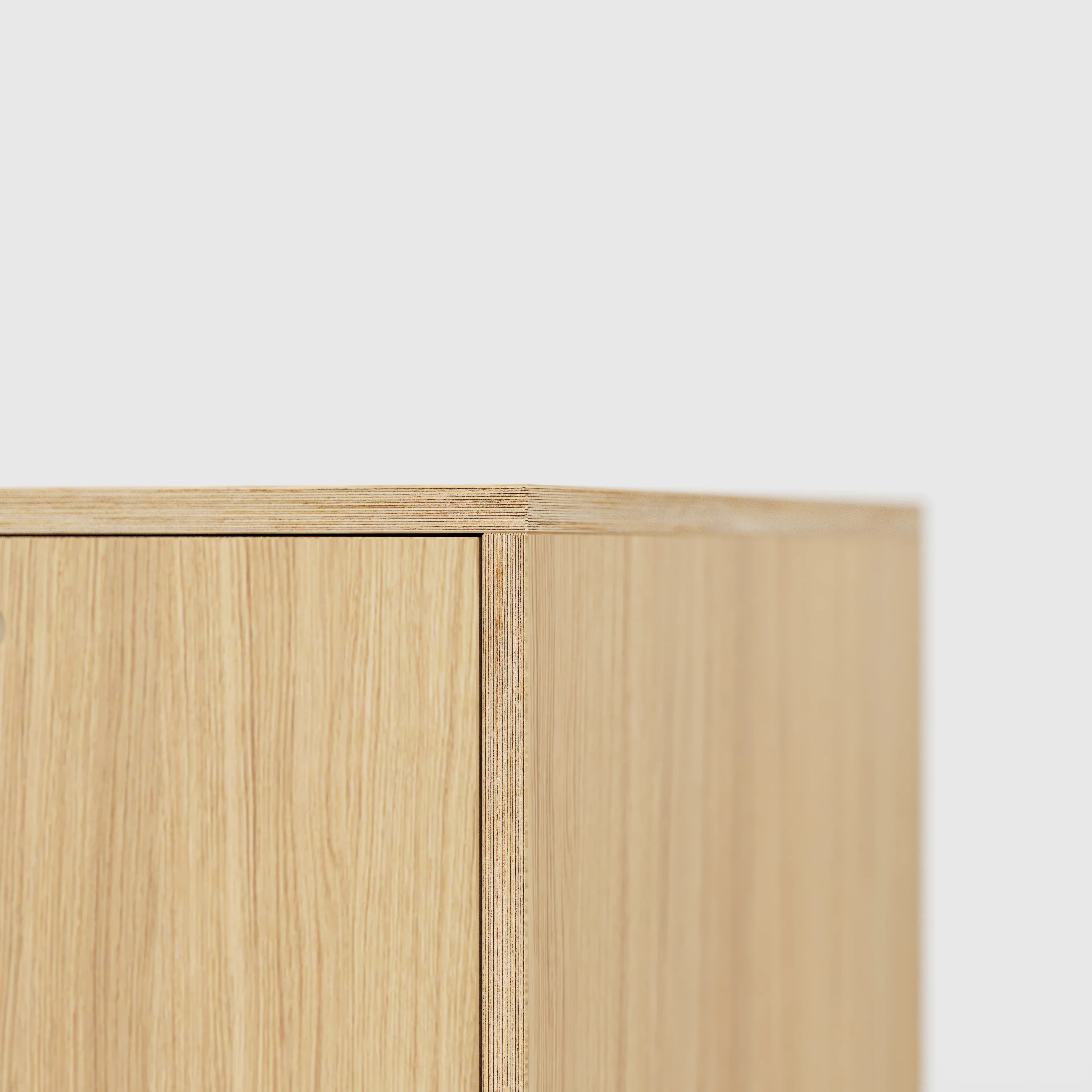 Plywood Desk with Storage Type 1 RH - Door - Plywood Oak - 1600(w) x 800(d) x 750(h) - Image 4