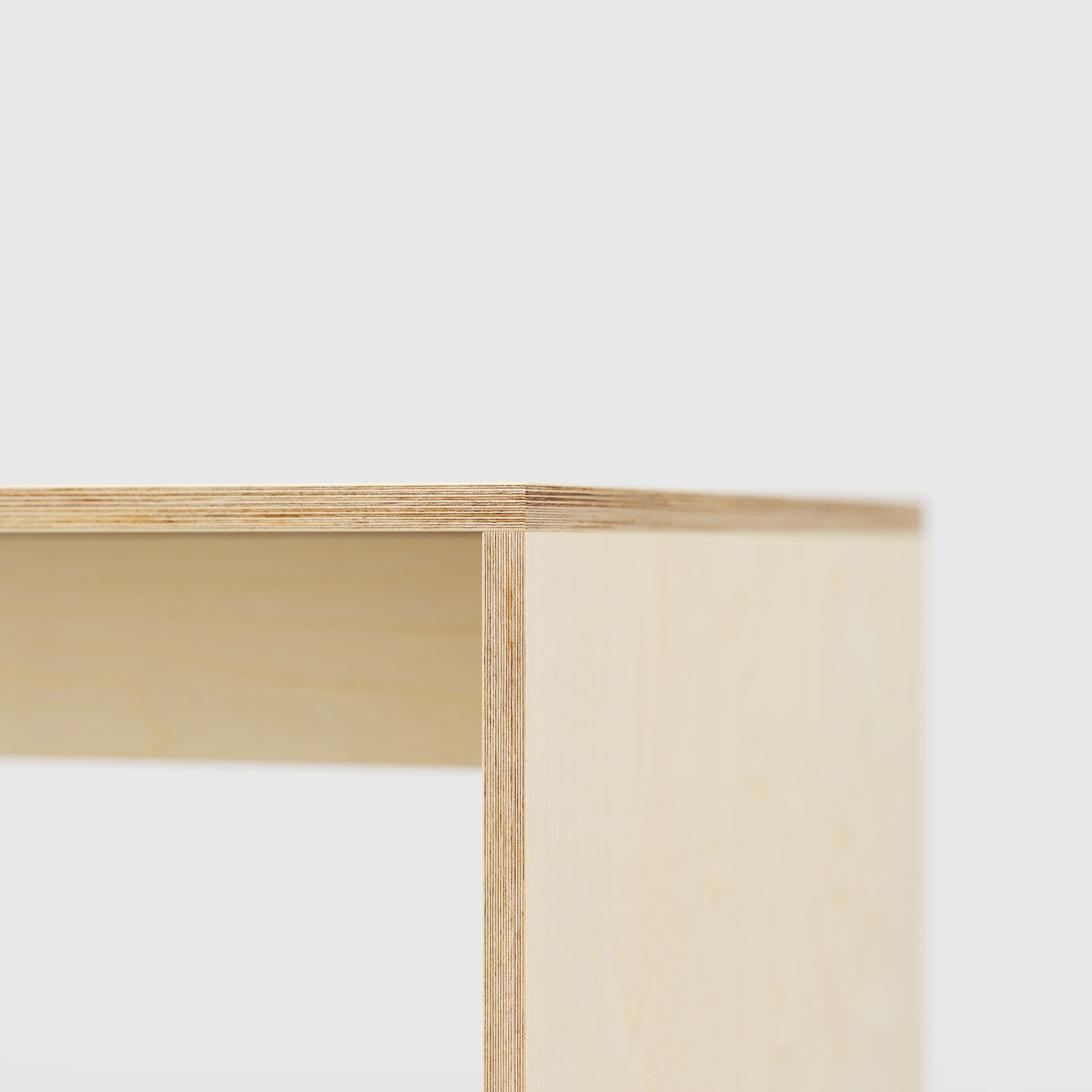 Plywood Table with Solid Sides - Plywood Birch - 2000(w) x 1000(d) x 750(h) - Image 4
