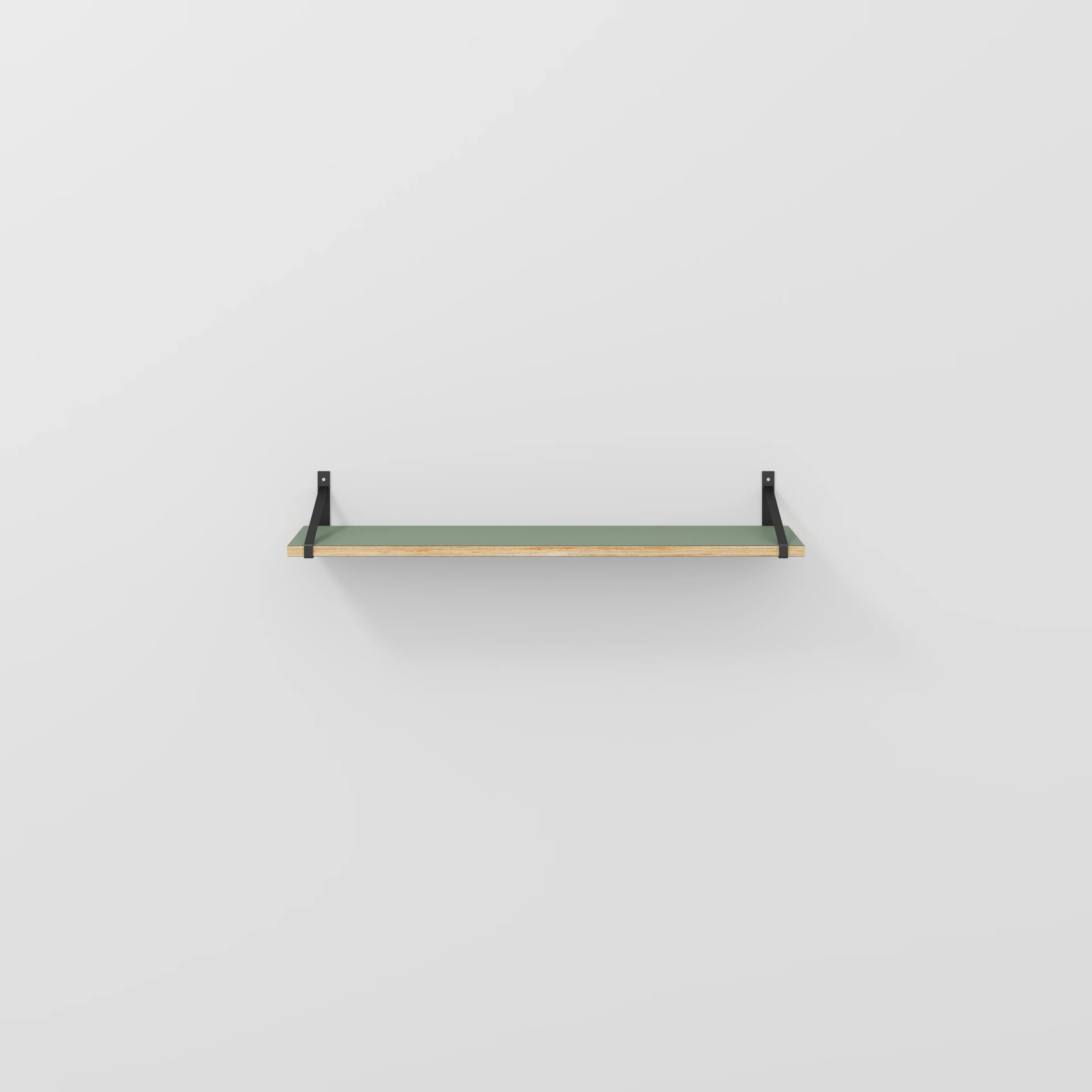 Plywood Wall Shelf with Suspense Brackets - Formica Green Slate - 1200(w) x 260(d)
